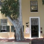 birds_cafe_174